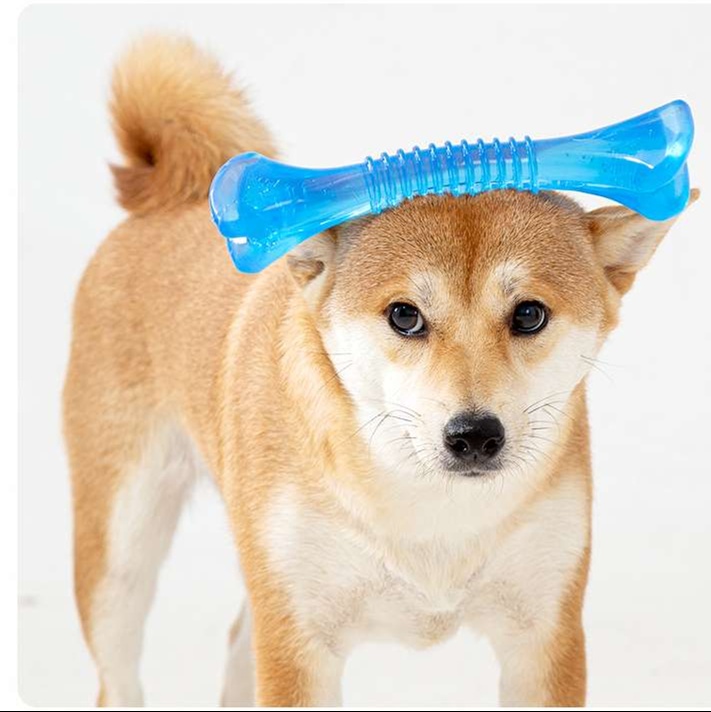 犬のおもちゃ  わんちゃん喜ぶ噛み噛みボーン