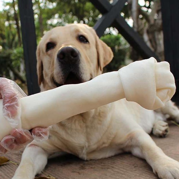 犬のおもちゃ  わんちゃん大喜び！噛みごたえ抜群の特大骨