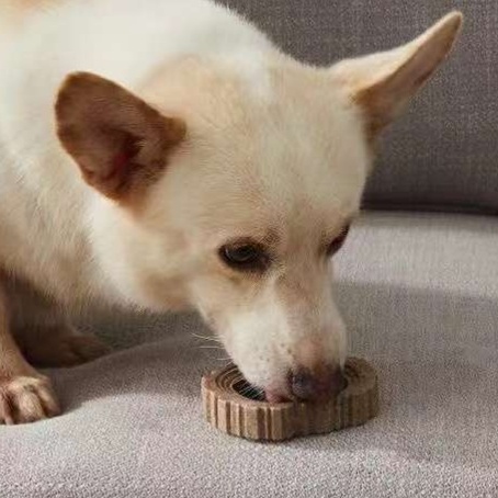 犬のおもちゃ  天然木のカミカミ骨