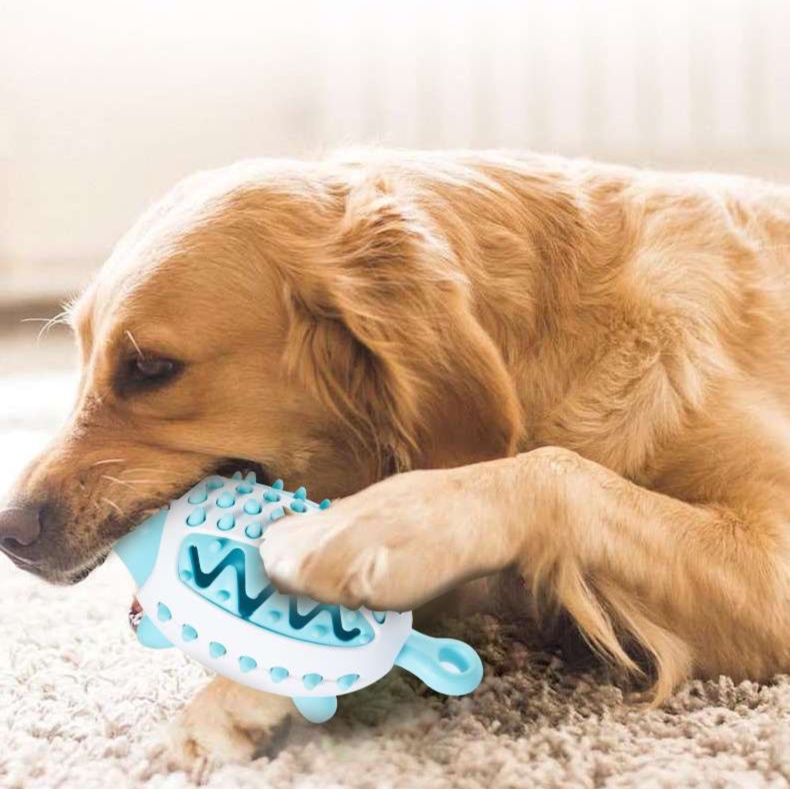 犬のおもちゃ  ハリネズミさんの歯磨きおもちゃ