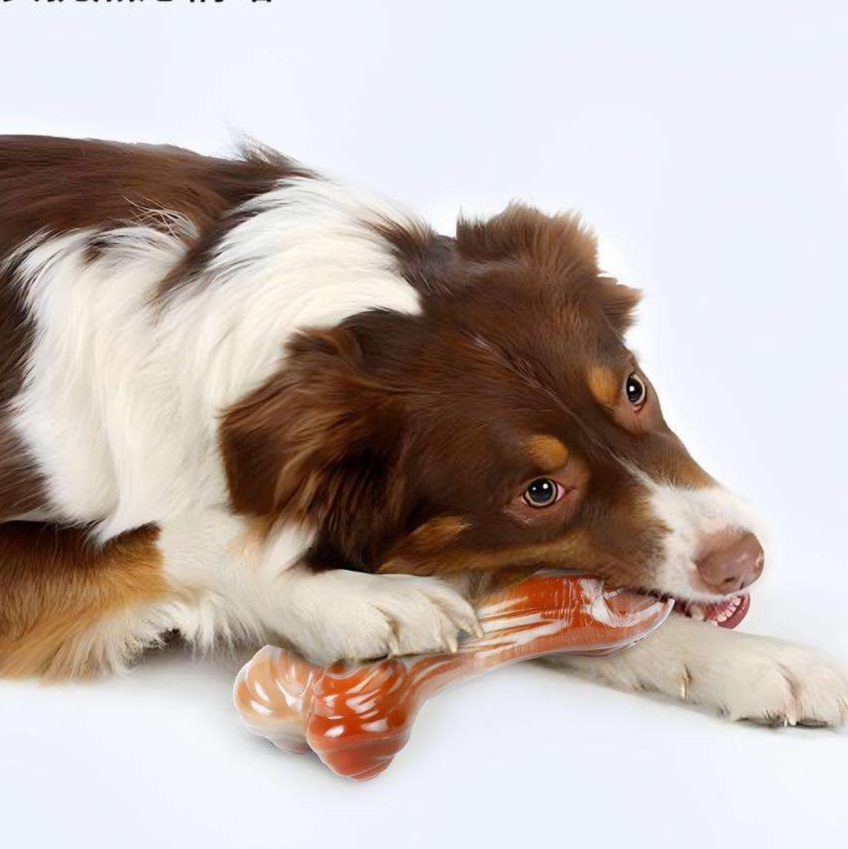 犬のおもちゃ  透明グミ骨おもちゃ