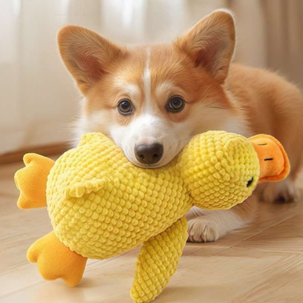 犬 おもちゃ ぬいぐるみ | わんちゃんの遊び友達 アヒルのぬいぐるみ