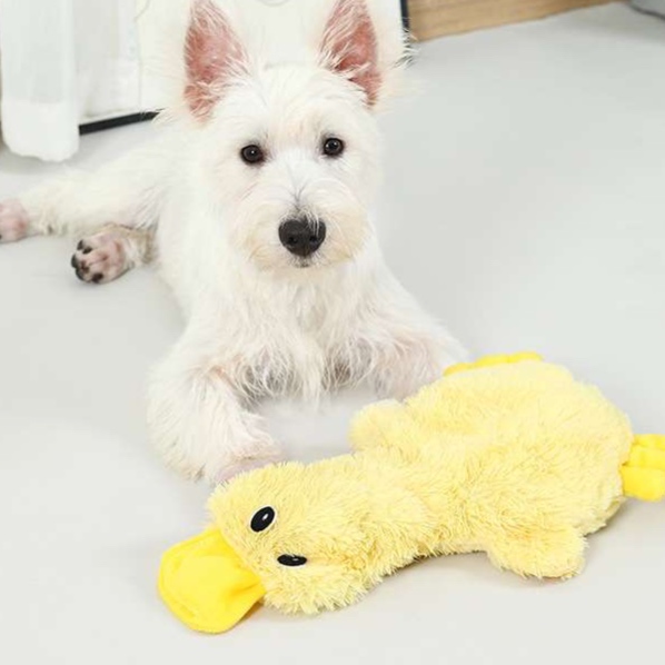 犬 おもちゃ ぬいぐるみ | ふわふわアヒルのぬいぐるみ