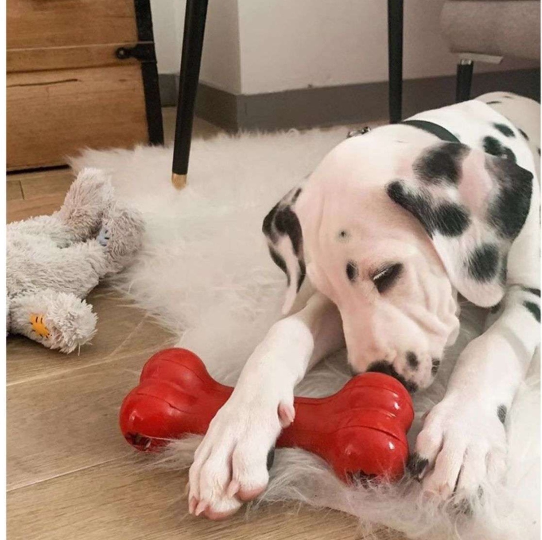 犬のおもちゃ  丈夫な噛みごたえ骨型おもちゃ