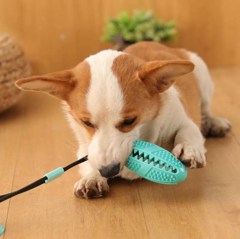 犬のおもちゃ デンタルクリーン 秒変漏食ボール