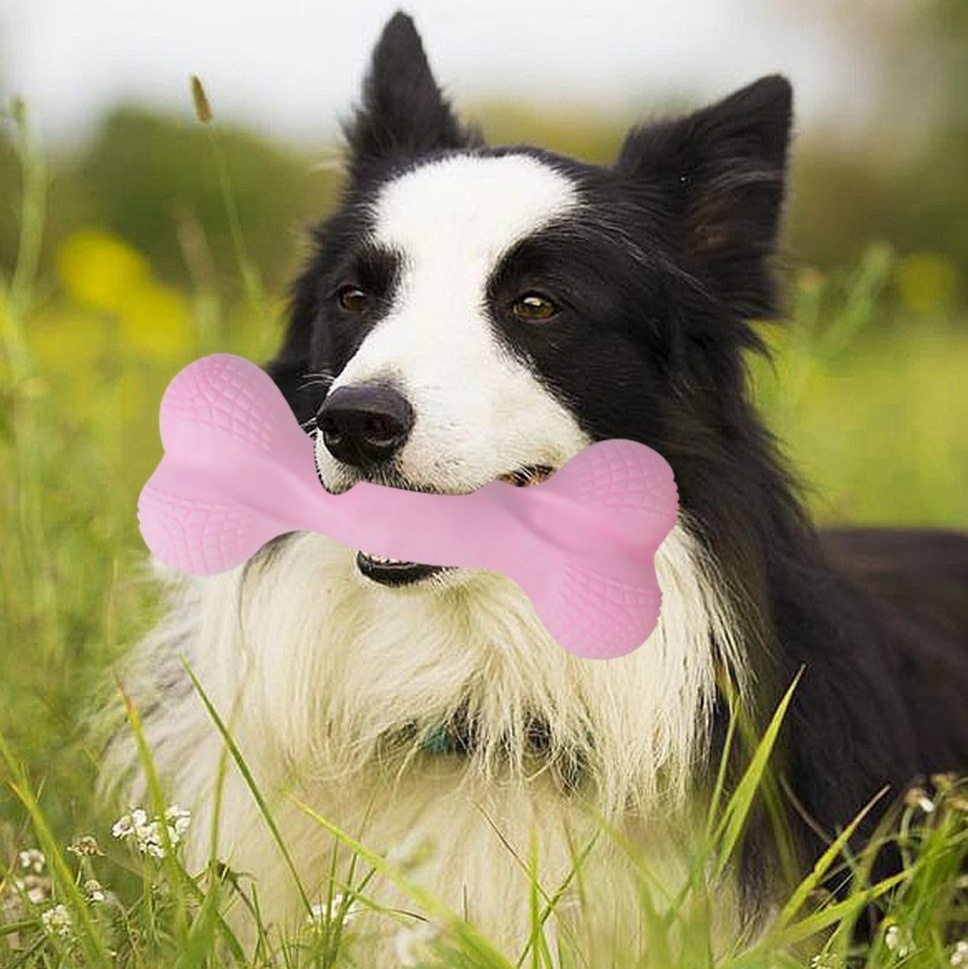 犬のおもちゃ 愛犬の遊び相棒 噛みごたえ骨