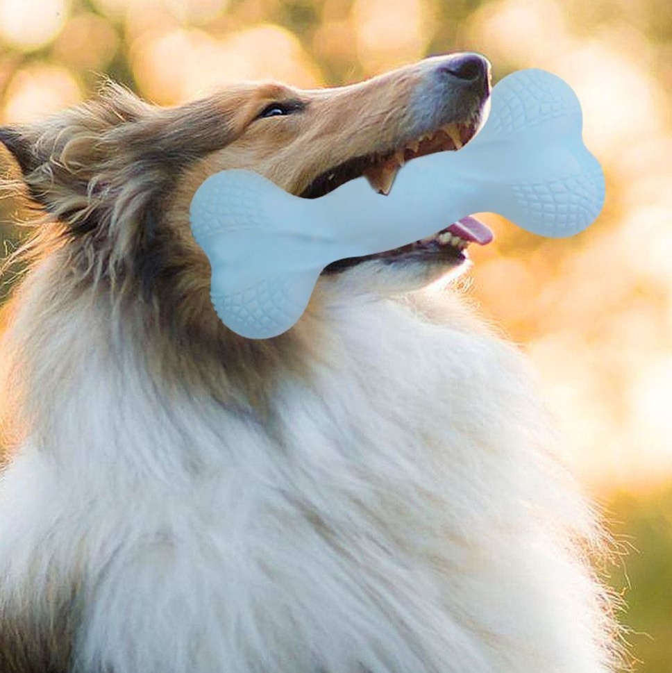 犬のおもちゃ 愛犬の遊び相棒 噛みごたえ骨