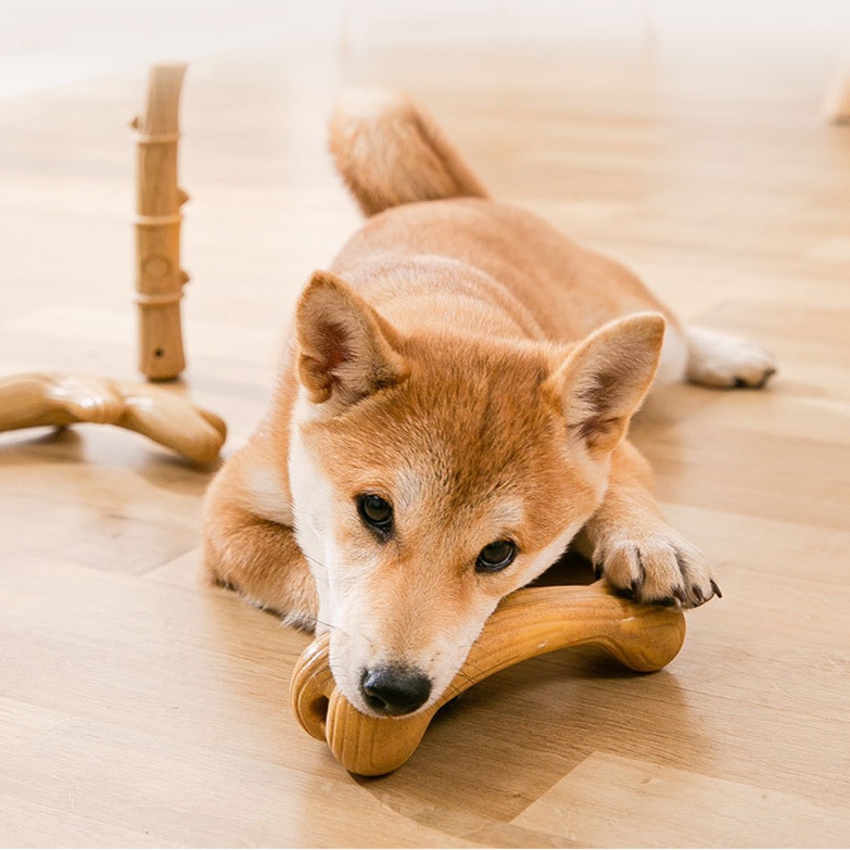 犬のおもちゃ 耐久性抜群 天然素材の愛犬用骨