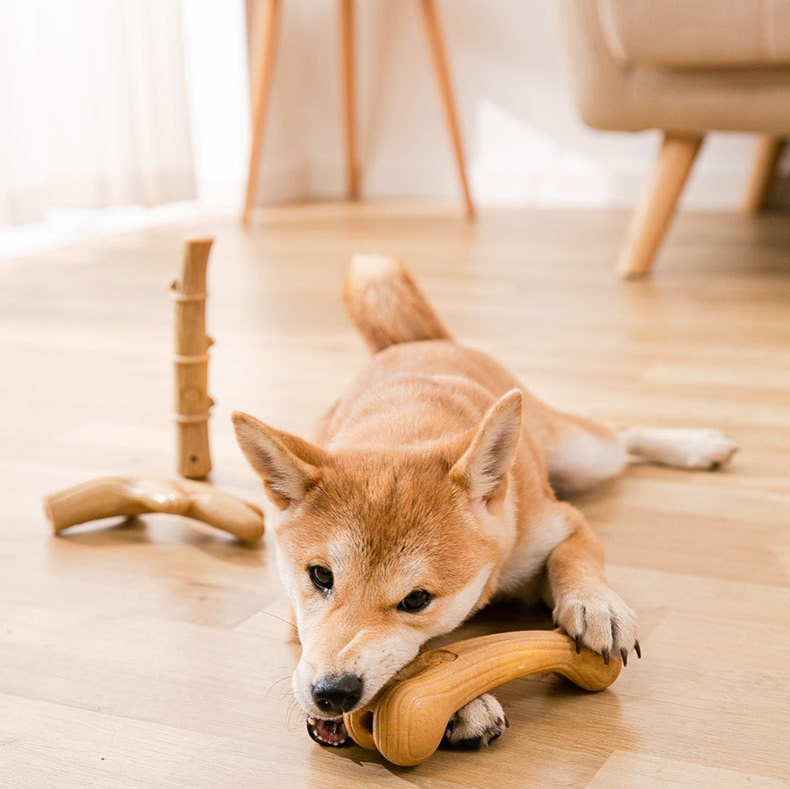 犬のおもちゃ 耐久性抜群 天然素材の愛犬用骨