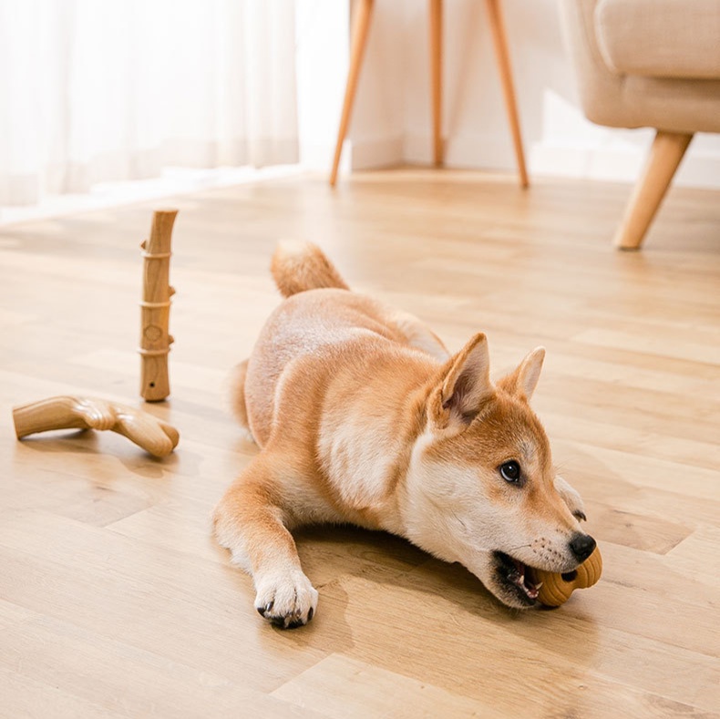 犬のおもちゃ 耐久性抜群 天然素材の愛犬用骨