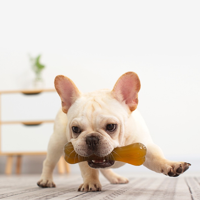 犬のおもちゃ 愛犬用デンタルケアボーン