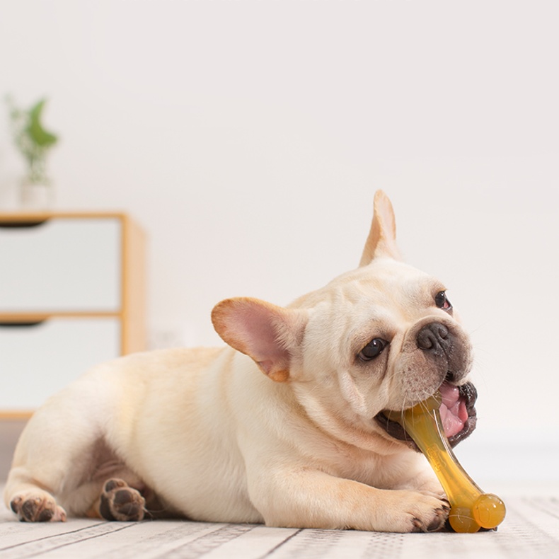 犬のおもちゃ 愛犬用デンタルケアボーン