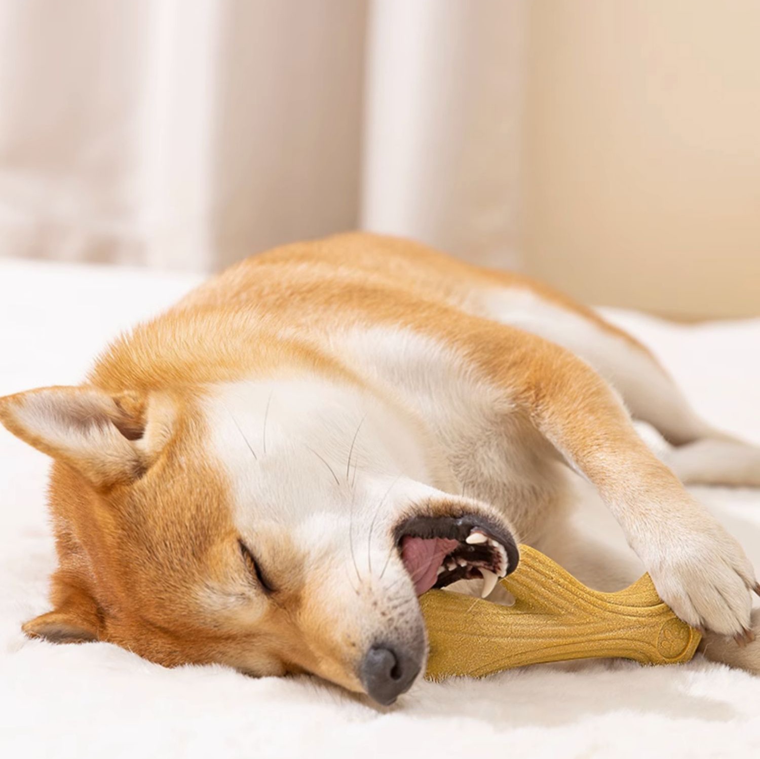 犬のおもちゃ 天然松材デンタルケア骨型おもちゃ