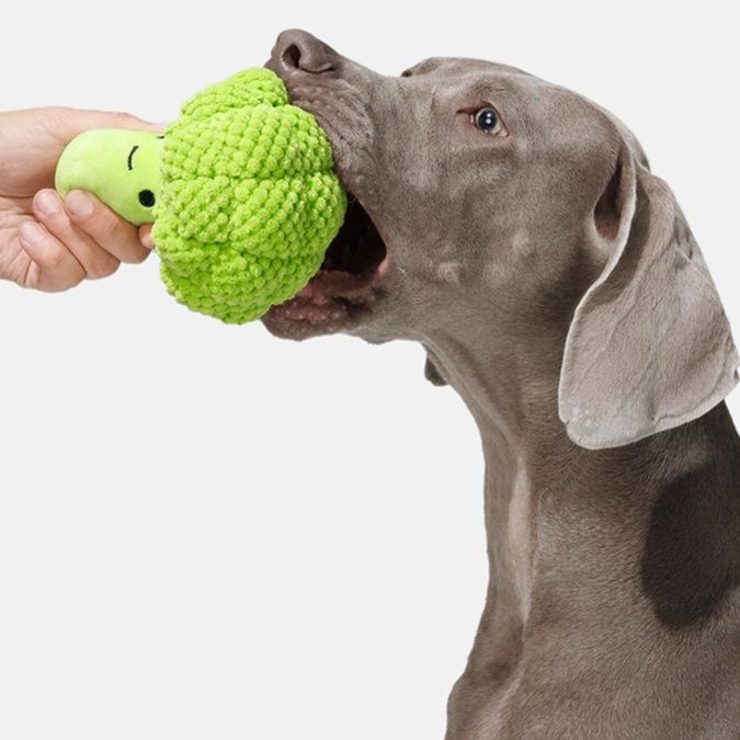 犬のおもちゃ もりもり野菜ぬいぐるみ