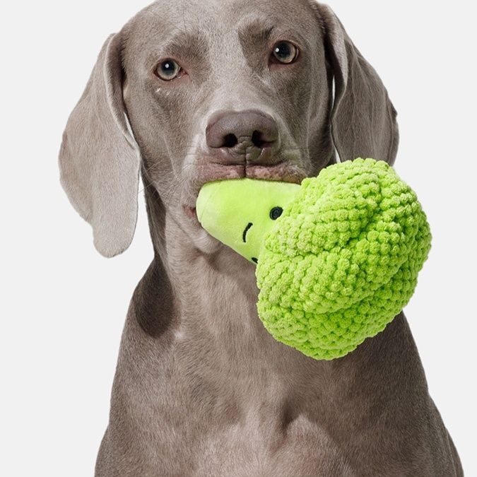 犬のおもちゃ もりもり野菜ぬいぐるみ