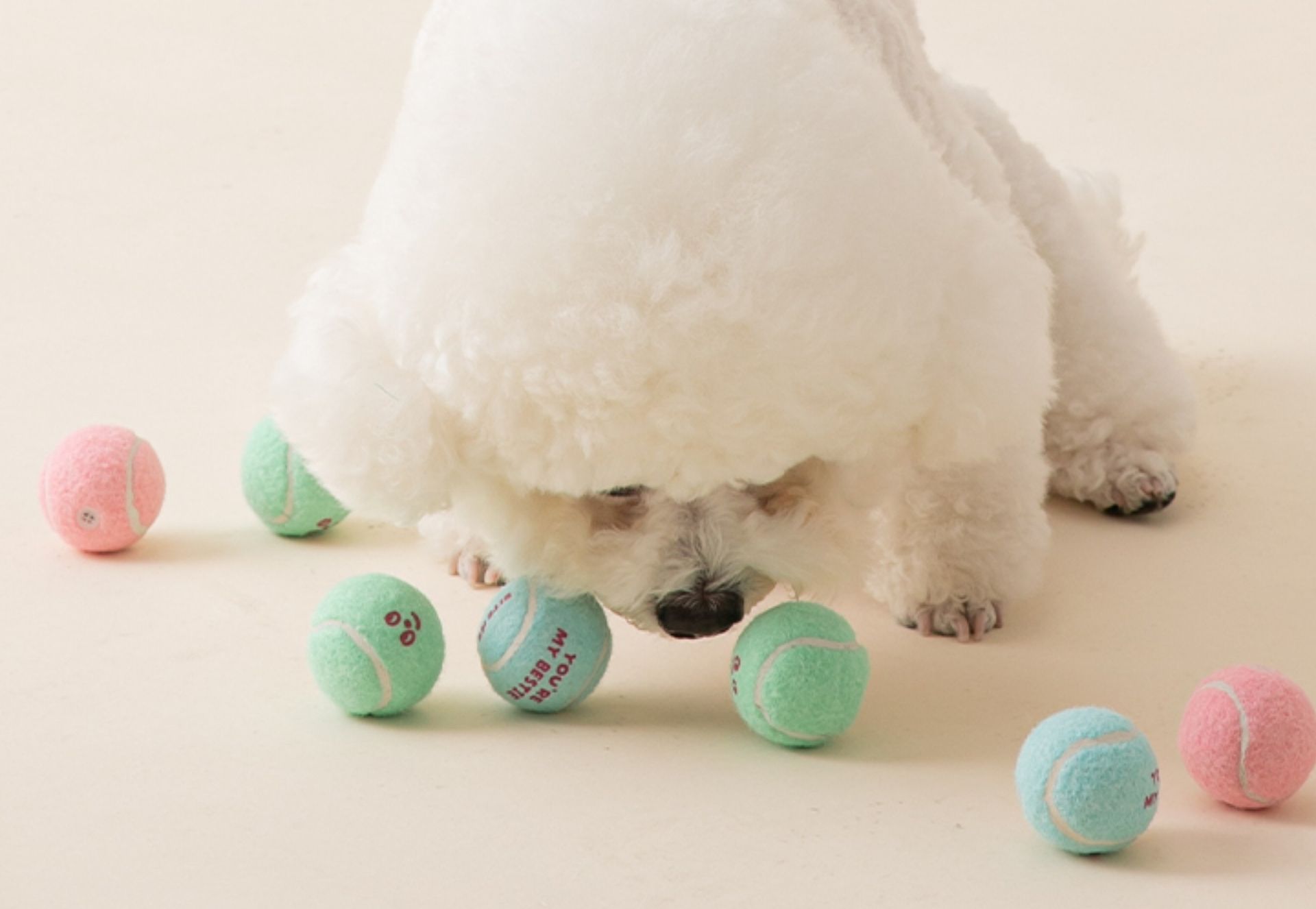 犬のおもちゃ にこにこミニテニスボール