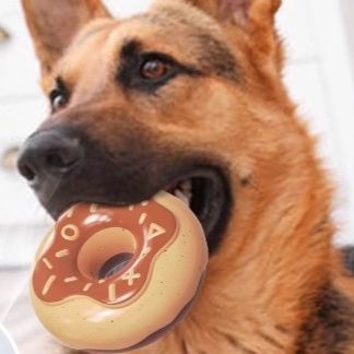 犬のおもちゃ 全天候ドーナツ歯磨きおもちゃ