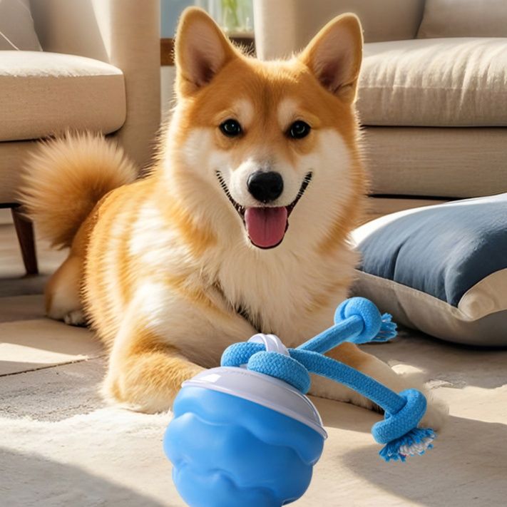 犬のおもちゃ デンタルロープボール