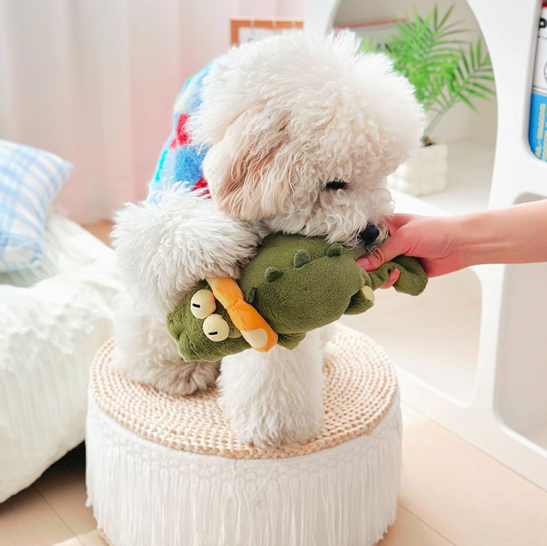 犬のおもちゃ わにくんもぐもぐぬいぐるみ