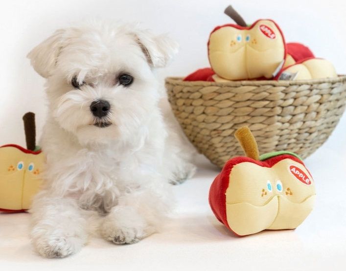 犬のおもちゃ りんごちゃんぬいぐるみ