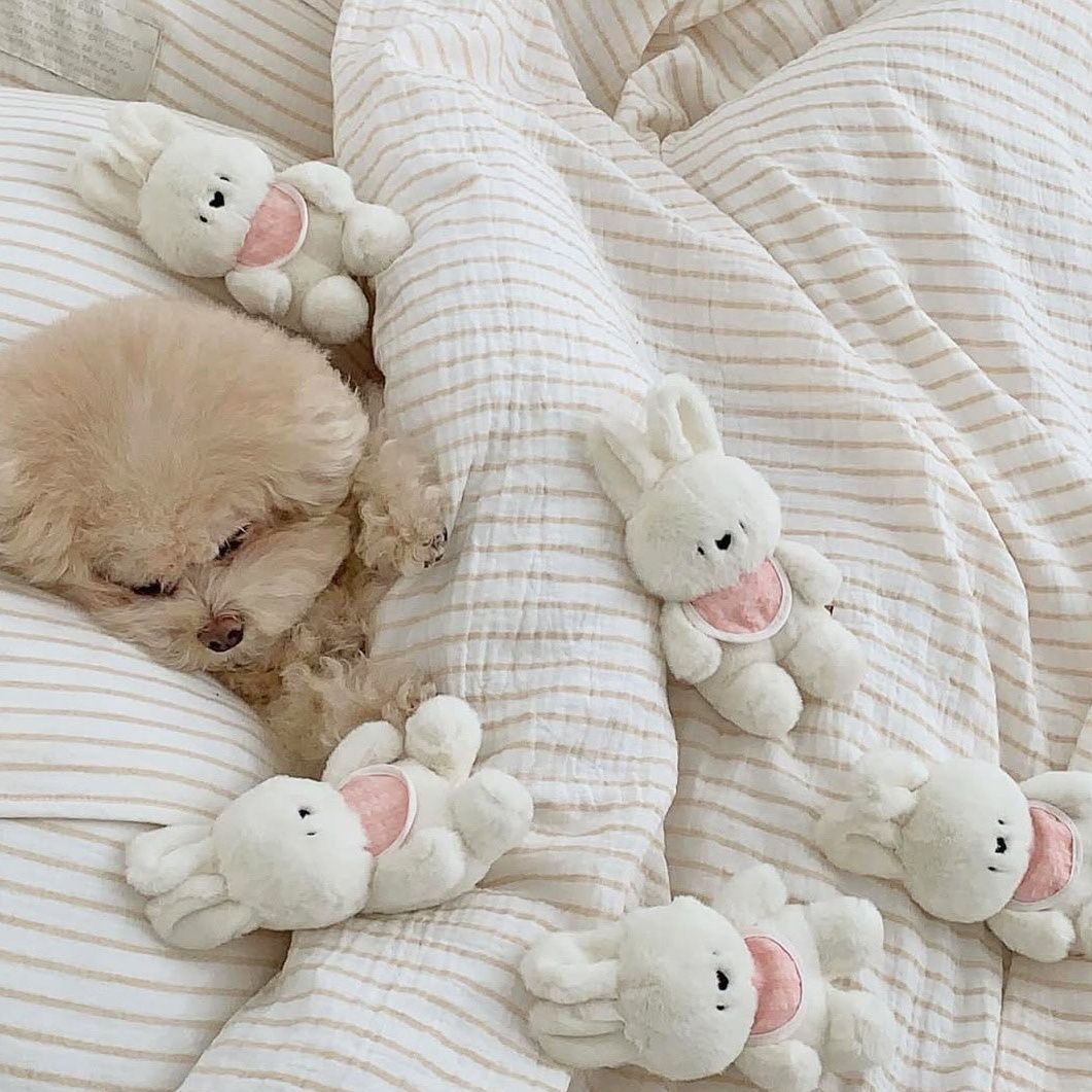 愛犬が夢中になる！可愛いうさぎ型おもちゃで毎日が楽しくなる犬用おもちゃ5選