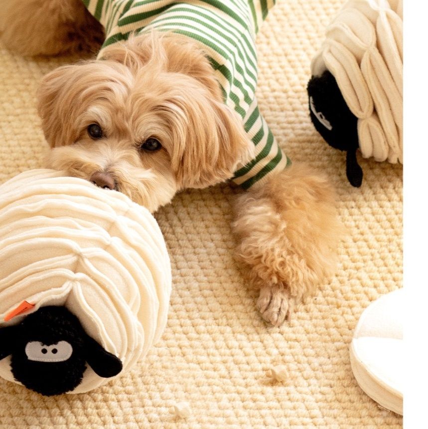 犬のおもちゃ もこもこひつじの知恵玉おやつボール