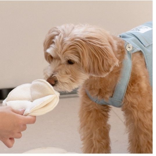 犬のおもちゃ もこもこひつじの知恵玉おやつボール