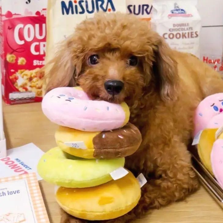 犬のおもちゃ ほっこりドーナツタワー
