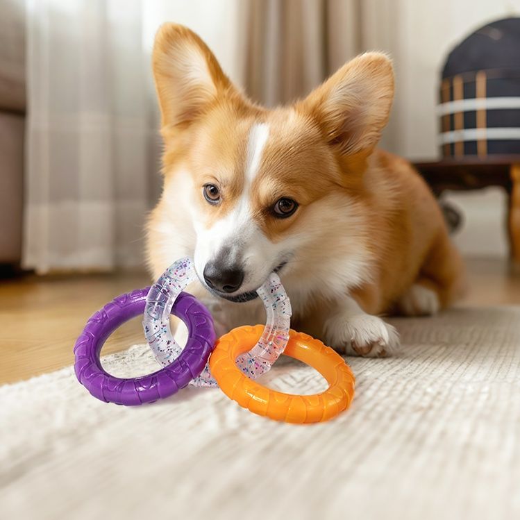 犬のおもちゃ 輪っかデンタルリング