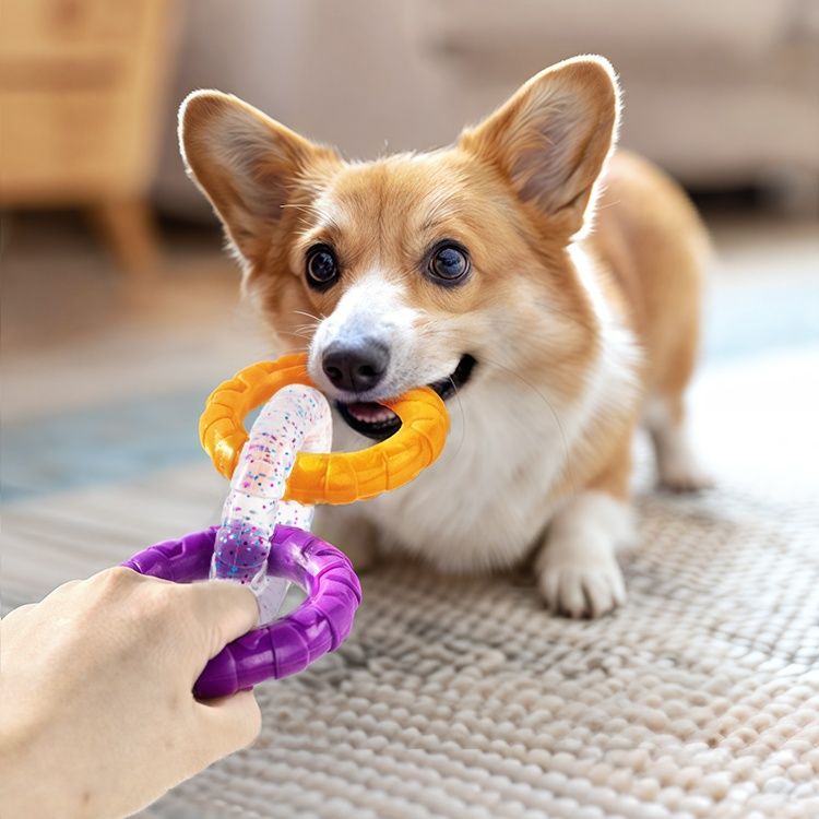 犬のおもちゃ 輪っかデンタルリング