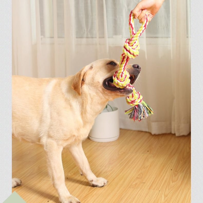 犬のおもちゃ わんこ喜ぶ結び目ロープ