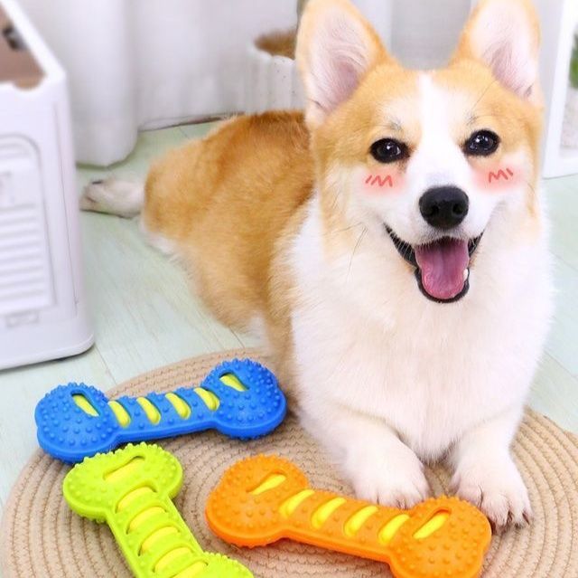犬のおもちゃ デンタルケアボーン