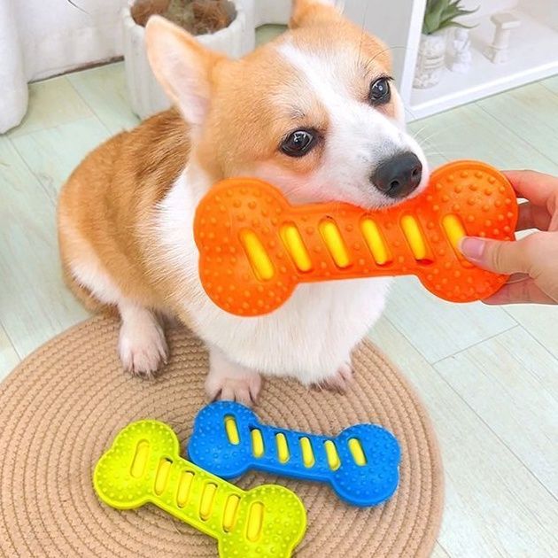 犬のおもちゃ デンタルケアボーン