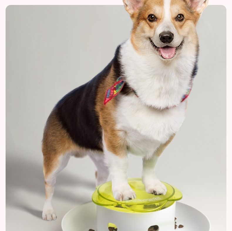 犬のおもちゃ ごはん探検パズルボウル
