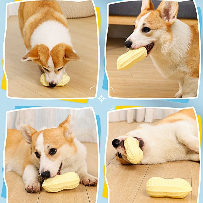 犬のおもちゃ ピーナッツ型デンタルガム