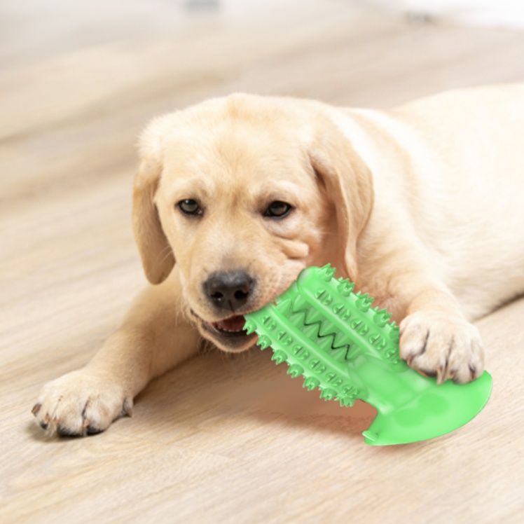 犬のおもちゃ わんわん歯みがきブラシ