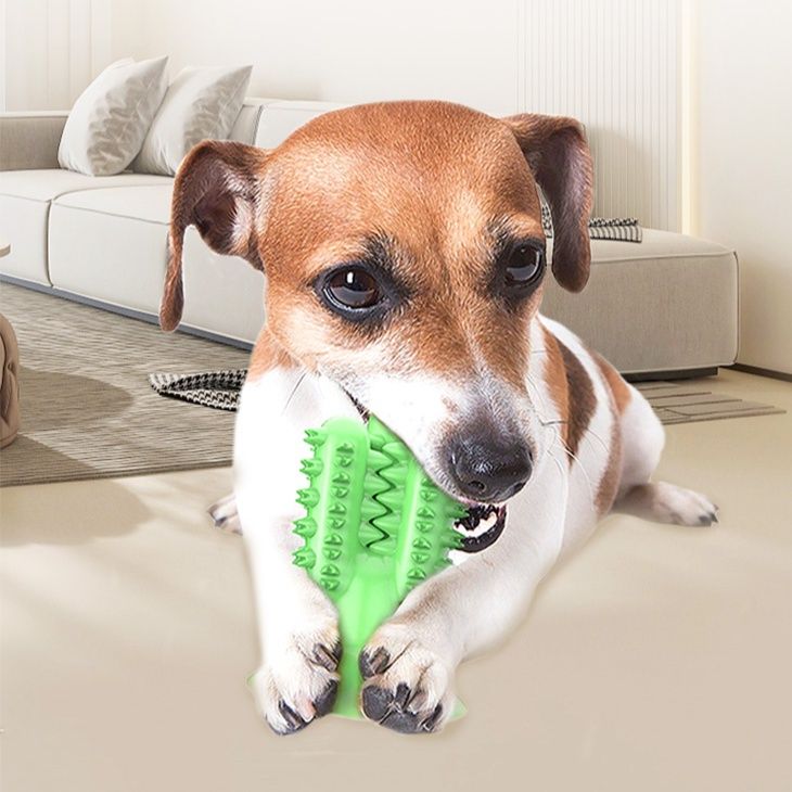 犬のおもちゃ わんわん歯みがきブラシ