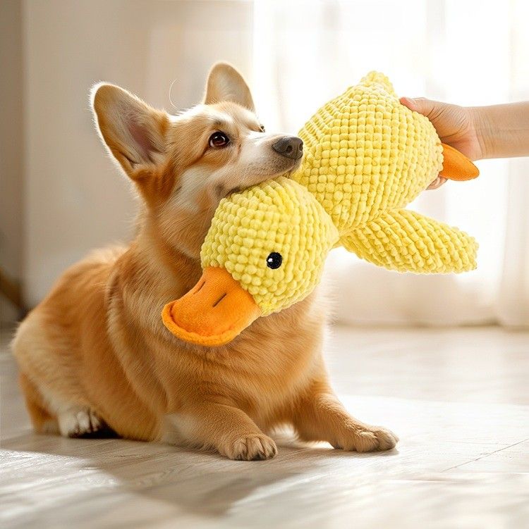 犬のおもちゃ 鳴き声アヒルさん ぬいぐるみ