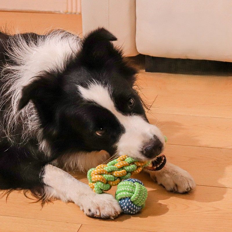 犬のおもちゃ ロープ編み込みデンタルトイセット