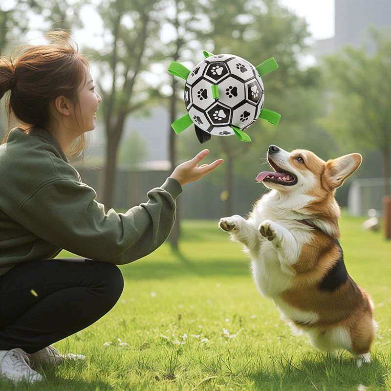 犬のおもちゃ 肉球サッカーボール