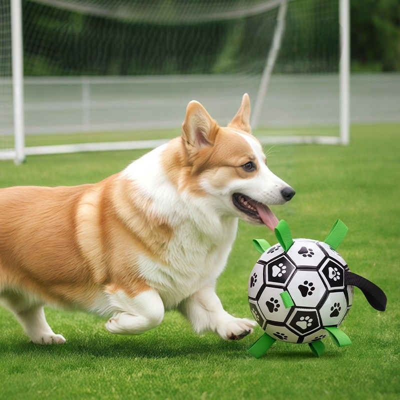 犬のおもちゃ 肉球サッカーボール