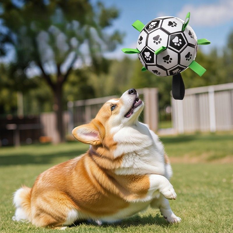 犬のおもちゃ 肉球サッカーボール