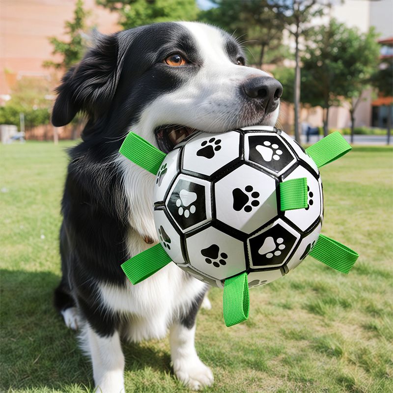 犬のおもちゃ 肉球サッカーボール