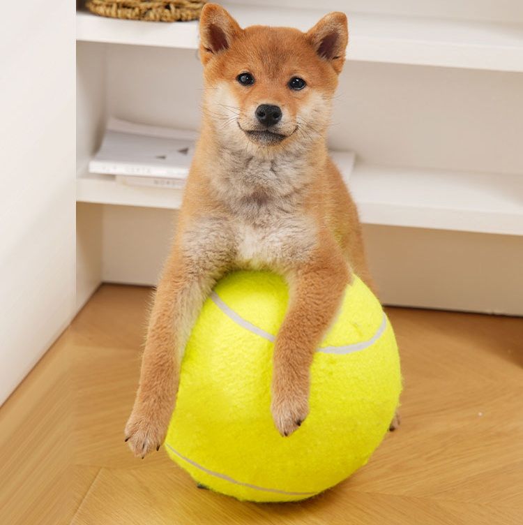 犬のおもちゃ 大型ふわふわ遊びボール