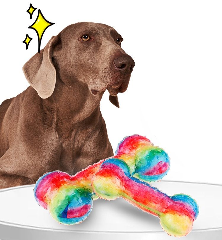 犬のおもちゃ 虹色ハッピー骨おもちゃ