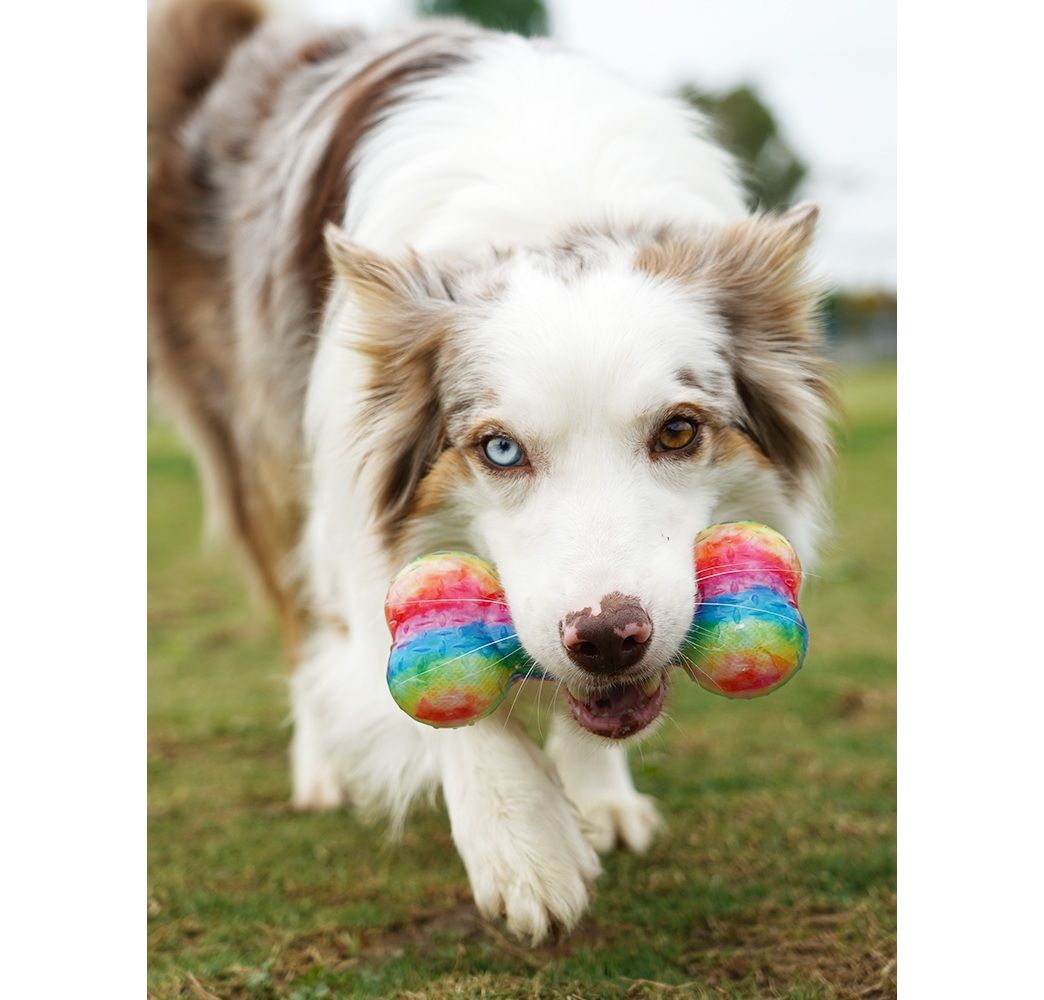 犬のおもちゃ 虹色ハッピー骨おもちゃ