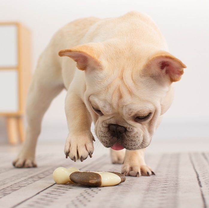 犬のおもちゃ わんちゃん大喜び 耐噛み骨