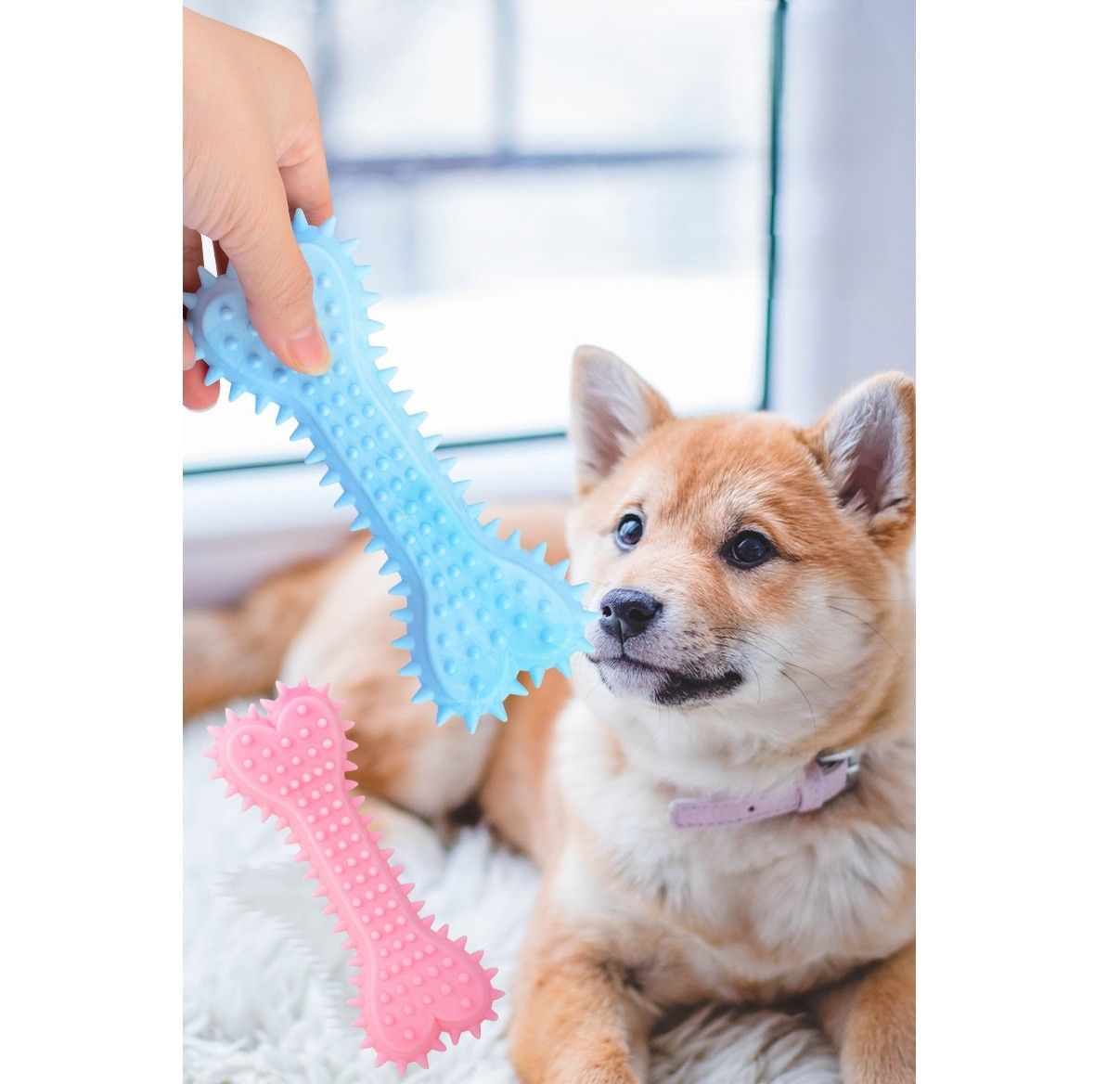 犬のおもちゃ デンタルケア歯磨き骨