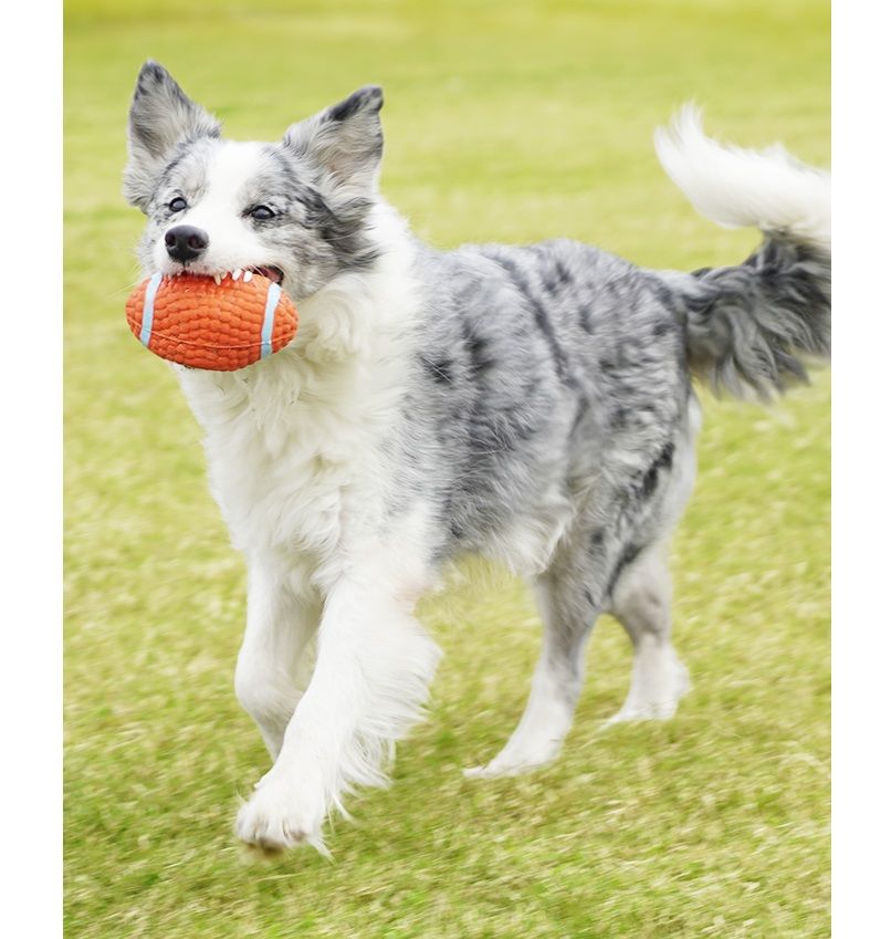 犬のおもちゃ スポーツモチーフ鳴き笛ボール