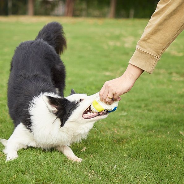 犬のおもちゃ スポーツモチーフ鳴き笛ボール
